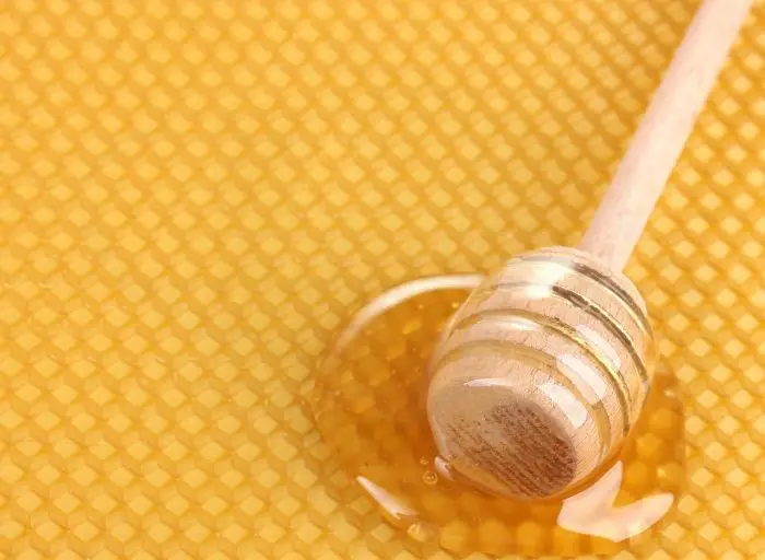 What is a Honeypot Operation in Cybersecurity