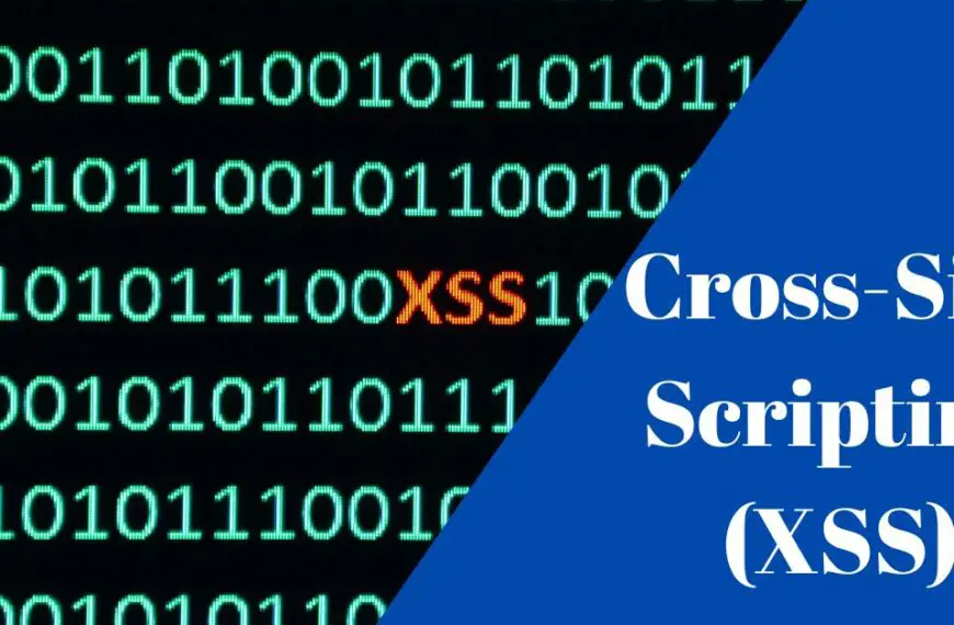 what is cross-site scripting