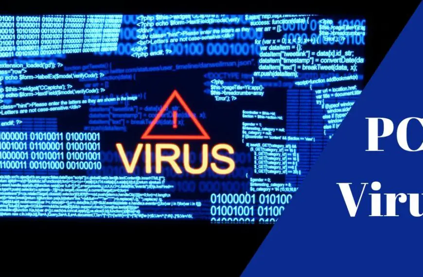 What is A Computer Virus