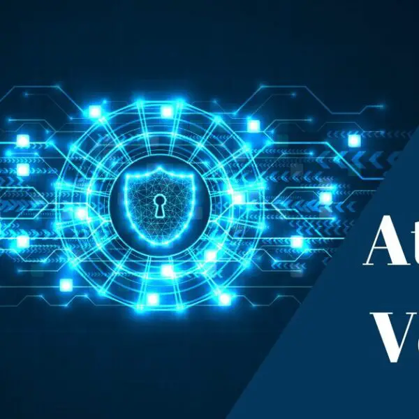 What is An Attack Vector