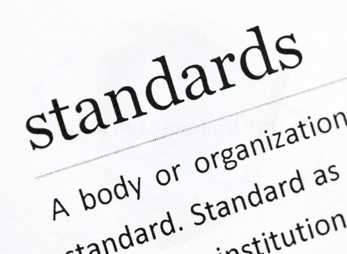 What is BSI Standard 200-1?