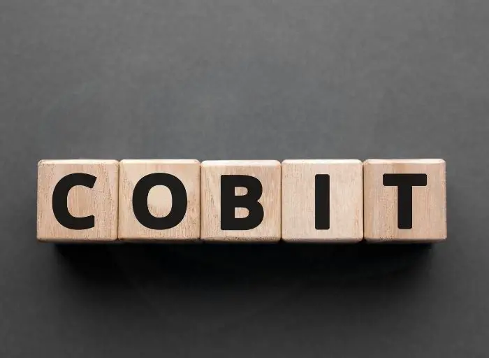 What is COBIT (Control Objectives for Information and Related Technology)?
