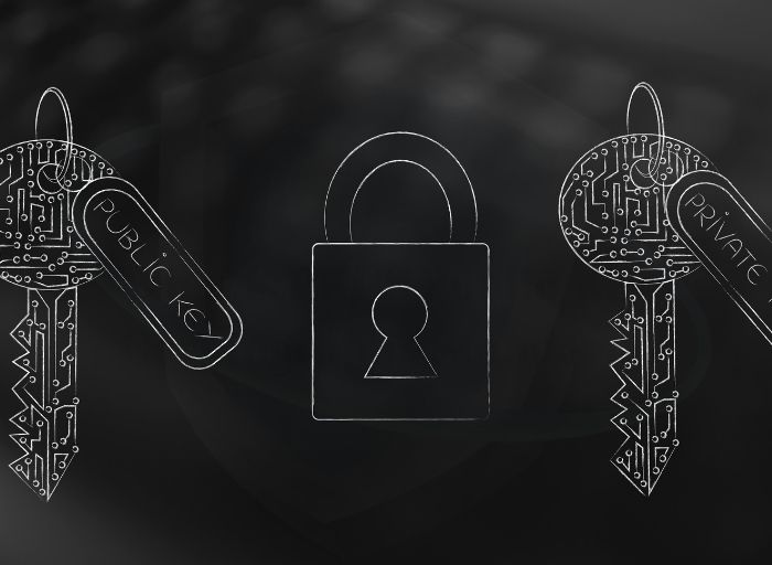 What is PKCS Public-Key Cryptography Standards