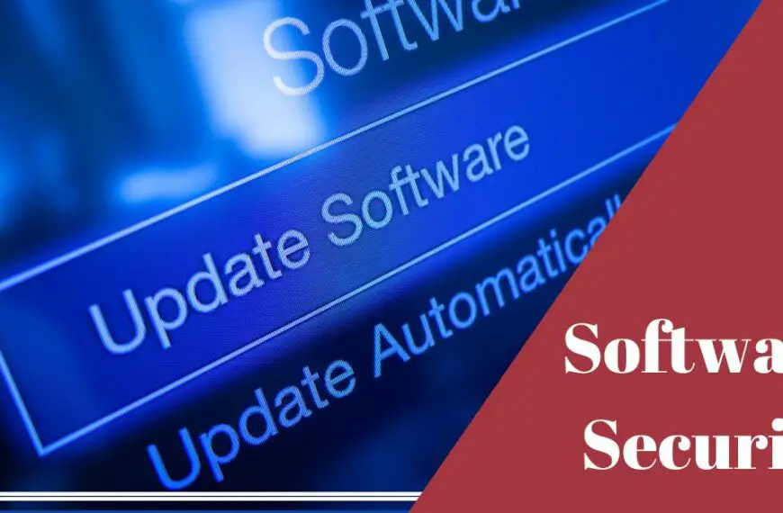 What is software security