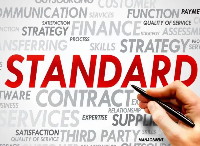 What the BSI Standards 200 Mean for Companies