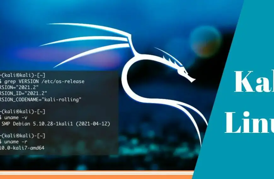 what is Kali Linux