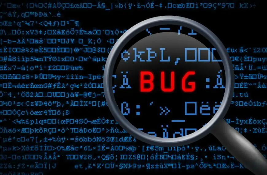 what is bug in software