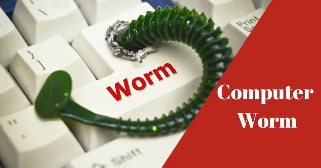 What is A Computer Worm?
