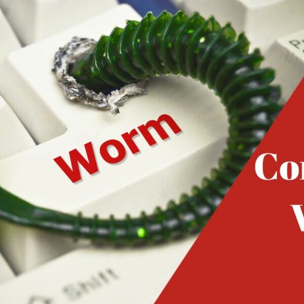 What is A Computer Worm