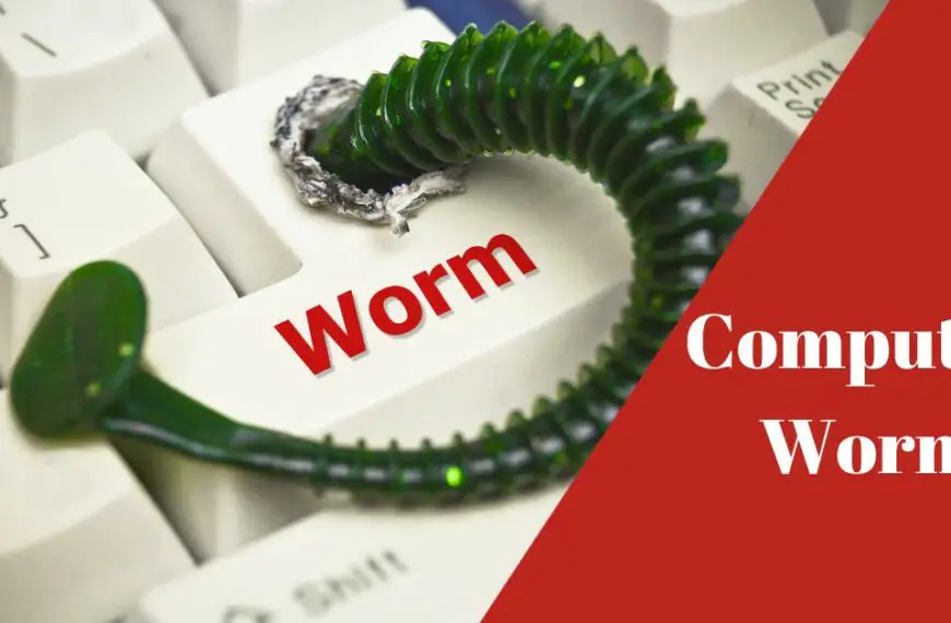What is A Computer Worm