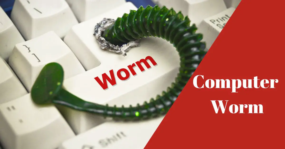 What is A Computer Worm